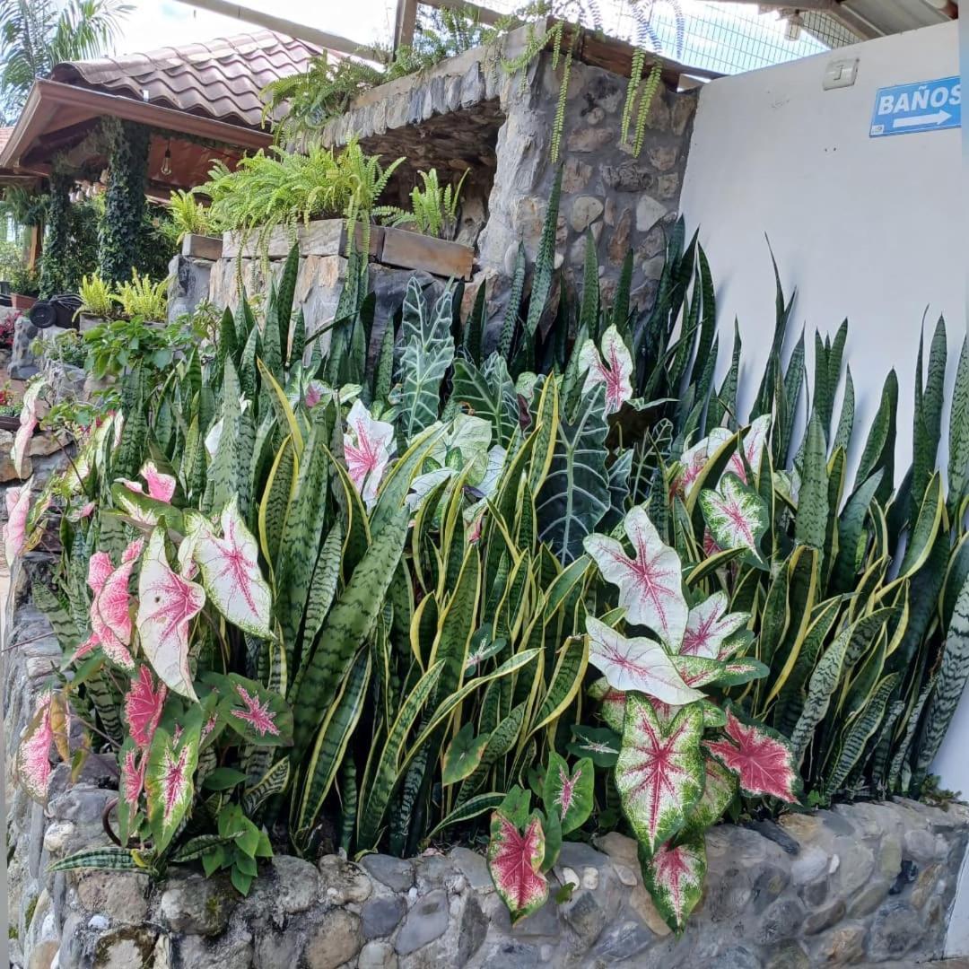 Hotel La Quinta De Andres San Isidro  Exterior foto